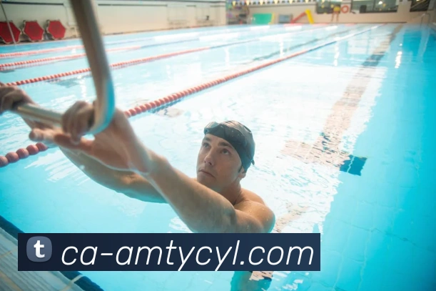 澳门太阳城娱乐平台生态图